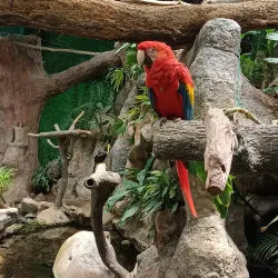 Acuario de Veracruz - Boca del Rio