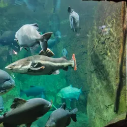 Acuario de Veracruz - Boca del Rio