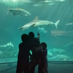 Acuario de Veracruz - Boca del Rio