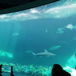 Acuario de Veracruz - Boca del Rio