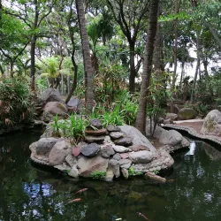 Parque Ecológico La Rivera - Boca del Rio