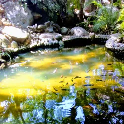 Parque Ecológico La Rivera - Boca del Rio