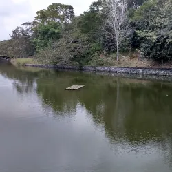 Parque Natura - Boca del Rio