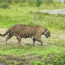 Parque Natura - Boca del Rio