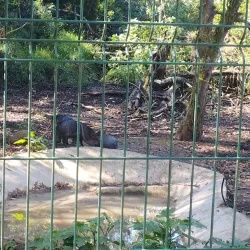 Parque Natura - Boca del Rio