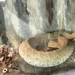 Parque Natura - Boca del Rio