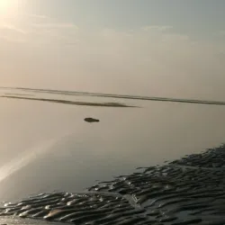 Playa Gaviotas - Boca del Rio
