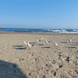 Playa Mocambo - Boca del Rio