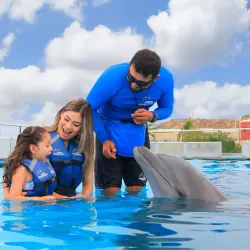 Cabo Dolphins - Cabo San Lucas