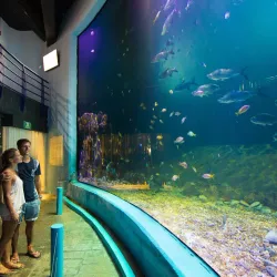 Interactive Aquarium Cancun - Cancun