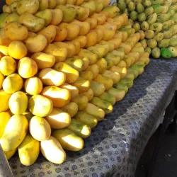 Mercado Juárez - Celaya
