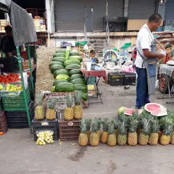 Mercado Juárez - Celaya