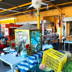 Mercado Juárez - Celaya