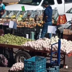Mercado Juárez - Celaya
