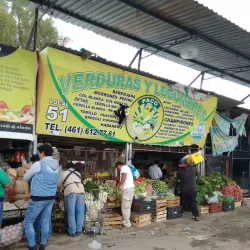 Mercado Juárez - Celaya
