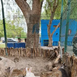 Parque Lineal - Celaya