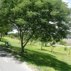 Parque Lineal - Celaya