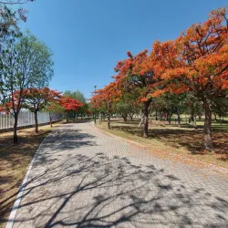 Parque Lineal - Celaya