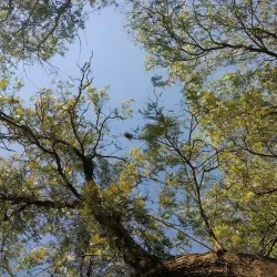 Parque Lineal - Celaya