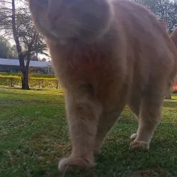 Parque Xochipilli - Celaya