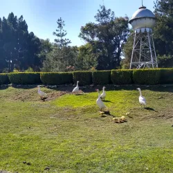 Parque Xochipilli - Celaya