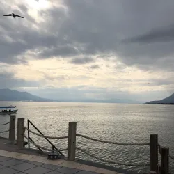 Lake Chapala Nature Reserve - Chapala