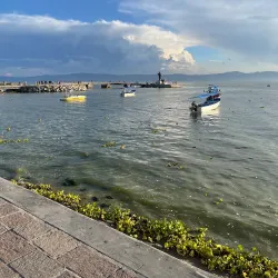 Lake Chapala Nature Reserve - Chapala