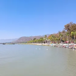 Lake Chapala Nature Reserve - Chapala