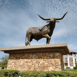 Parque El Palomar - Chihuahua