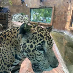 Parque Natural Laguna de Términos - Ciudad del Carmen