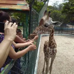 Parque Natural Laguna de Términos - Ciudad del Carmen