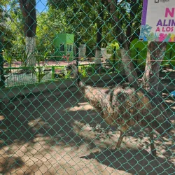 Parque Natural Laguna de Términos - Ciudad del Carmen