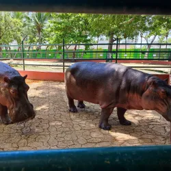 Parque Natural Laguna de Términos - Ciudad del Carmen