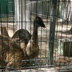 Parque Natural Laguna de Términos - Ciudad del Carmen
