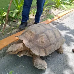 Parque Natural Laguna de Términos - Ciudad del Carmen