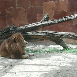 Parque Natural Laguna de Términos - Ciudad del Carmen