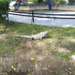 Plaza Principal - Ciudad del Carmen