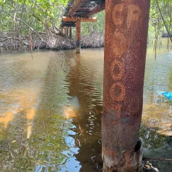 Zona Arqueológica de Jaina - Ciudad del Carmen