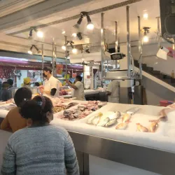 Mercado Municipal de Escobedo - Ciudad General Escobedo