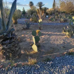 Parque Central Hermanos Escobar - Ciudad Juarez