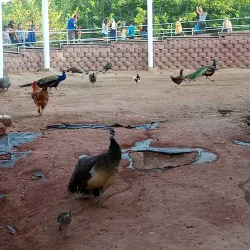 Parque Central - Ciudad Juarez