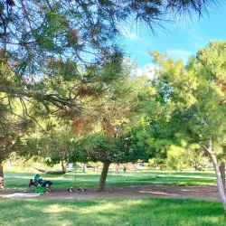 Parque Chamizal - Ciudad Juarez