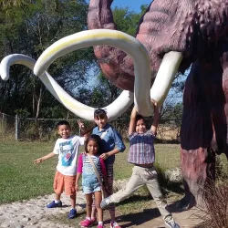 Museo Regional de Tamaulipas - Ciudad Victoria