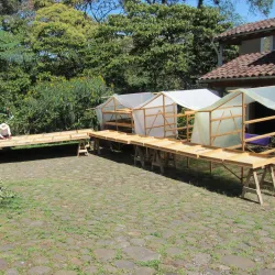 Coffee Plantations of Coatepec - Coatepec