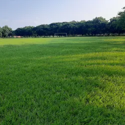 Parque de la Alameda - Coatzacoalcos