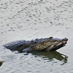 Parque de la Alameda - Coatzacoalcos