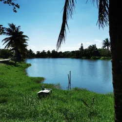 Parque de la Alameda - Coatzacoalcos