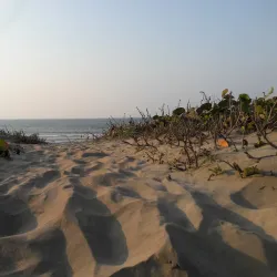 Playa de Coatzacoalcos - Coatzacoalcos