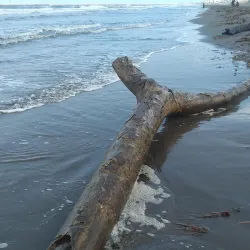 Playa de Coatzacoalcos - Coatzacoalcos