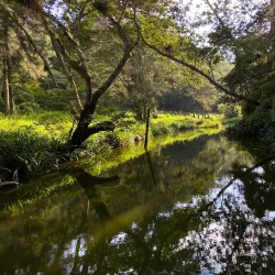 Chinkultic Archaeological Site - Comitan De Dominguez